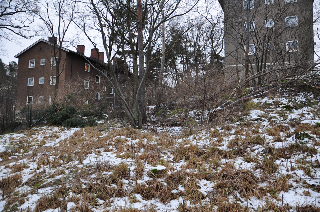 Blommensbergsvägen